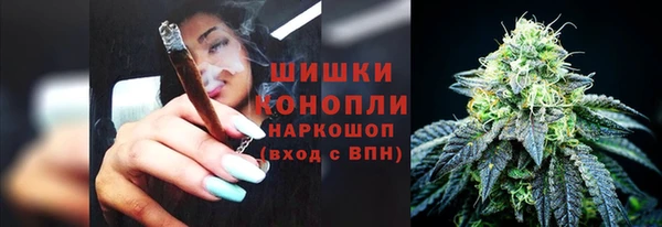 прущие грибы Белокуриха